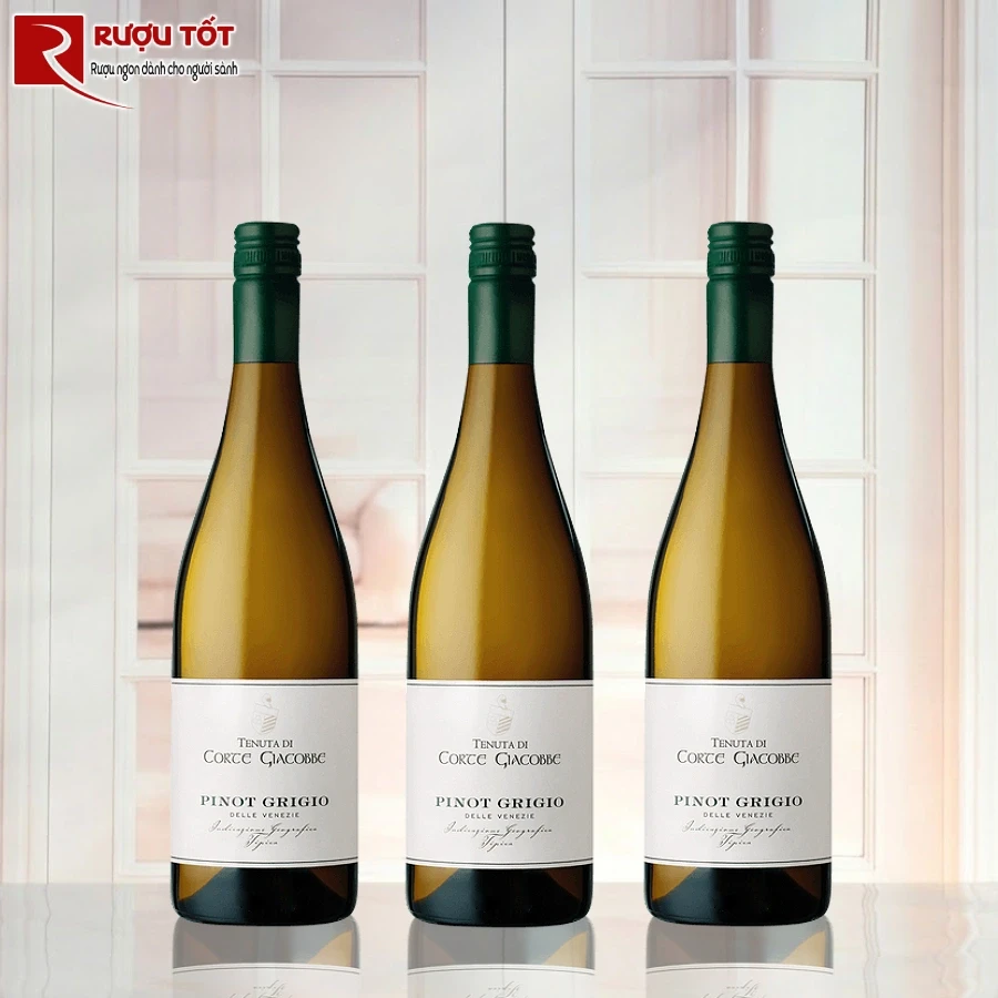ruou-corte-giacobbe-pinot-grigio-delle-venezie-chat-luong