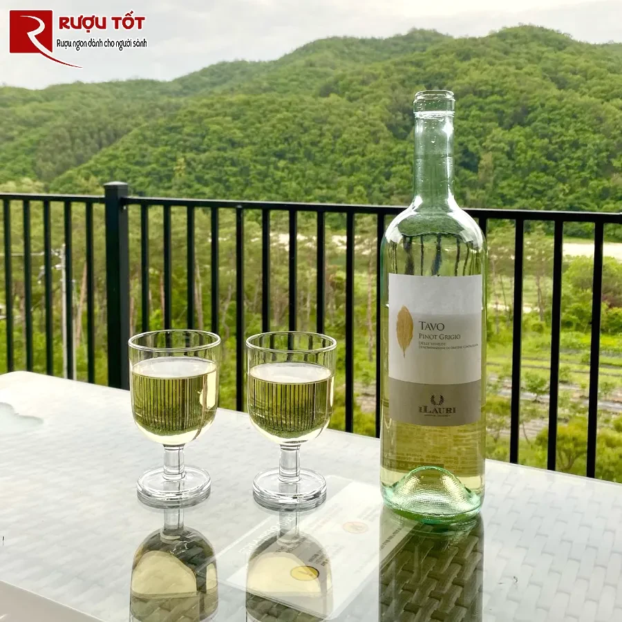 ruou ilauri tavo pinot grigio 13% 750ml de uong