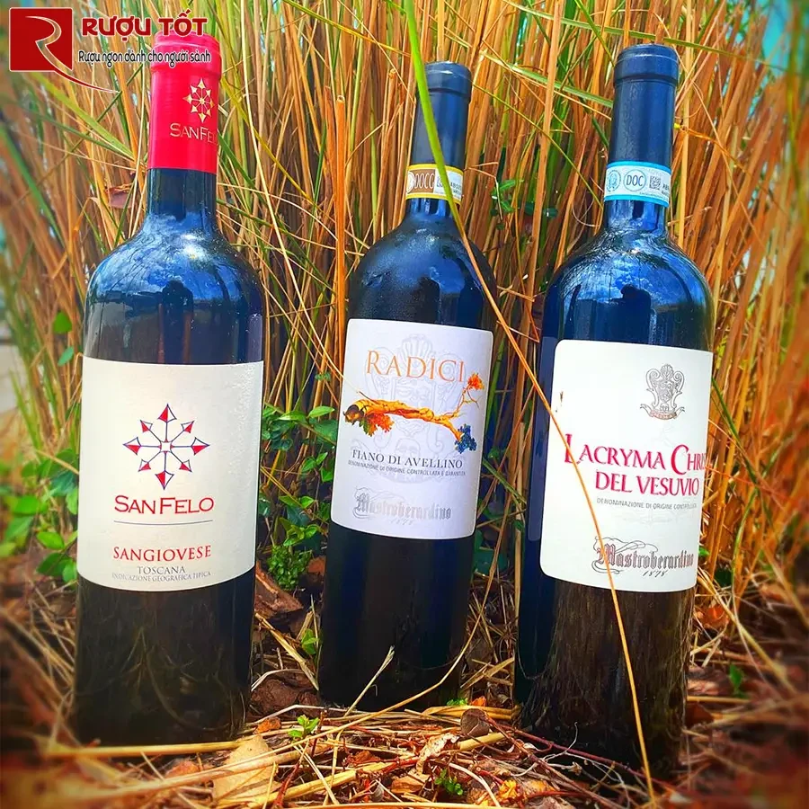 Rượu Lacryma Christi Del Vesuvio Rosso