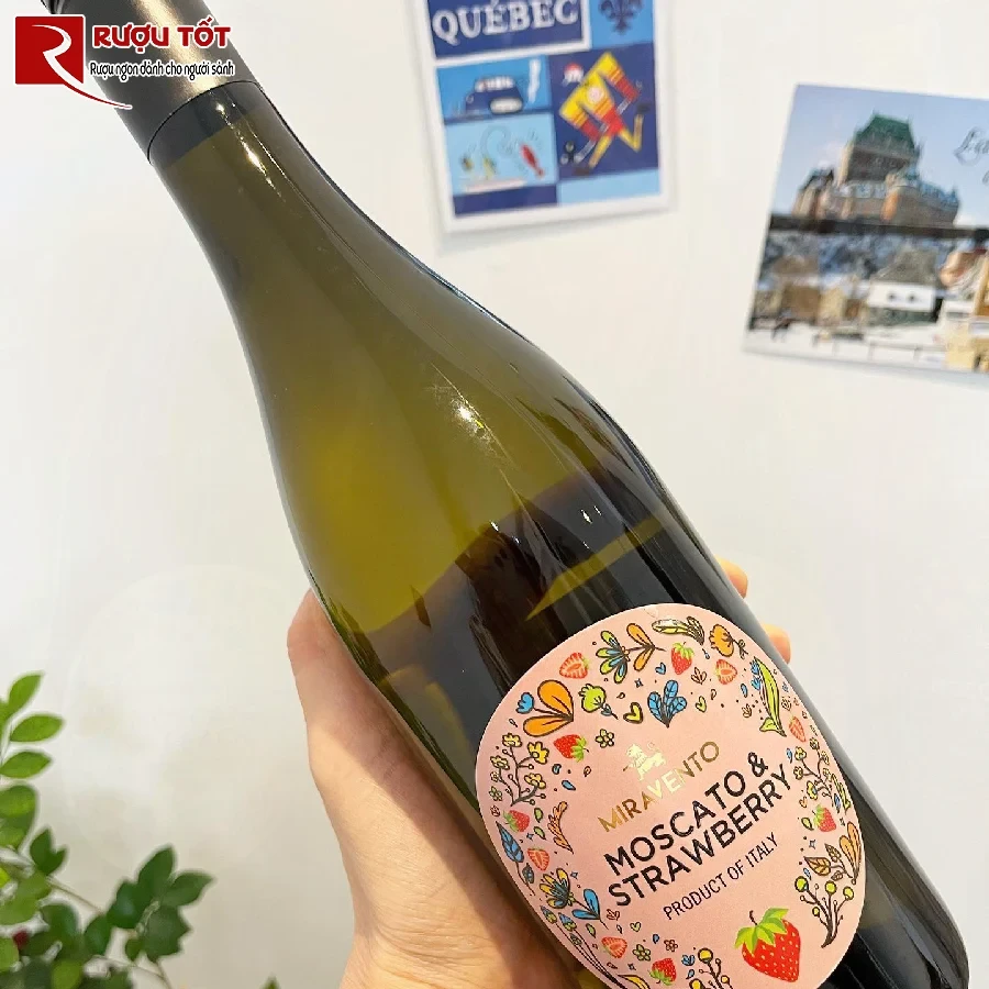 ruou moscato strawberry miravento