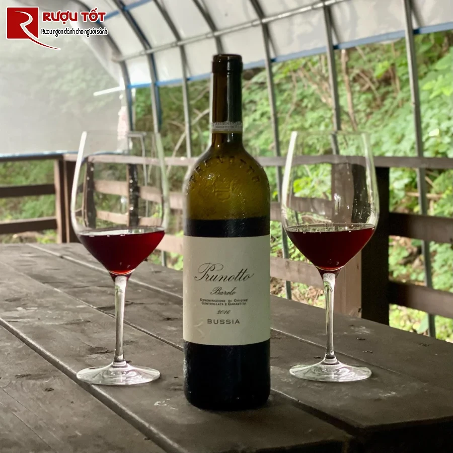 ruou prunotto barolo bussia