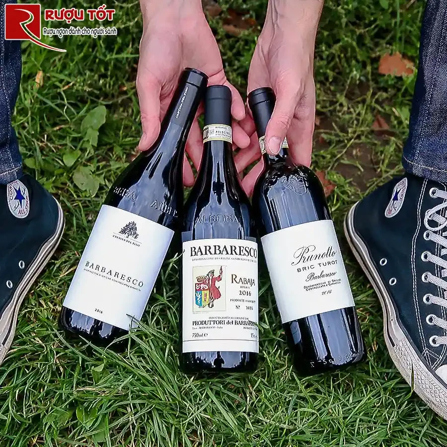 Rượu Prunotto Bric Turot Barbaresco DOCG