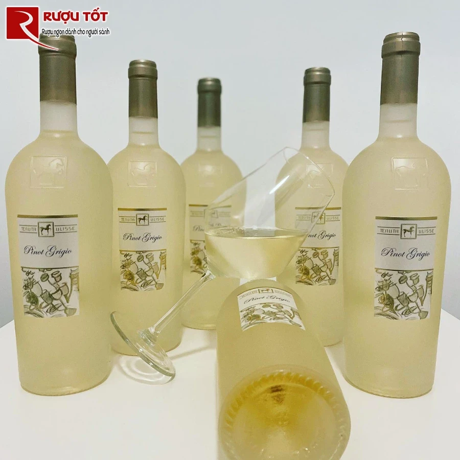 ruou tenuta ulisse pinot grigio 2021