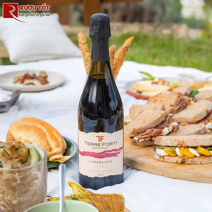 ruou terre forti lambrusco emilia hao hang y