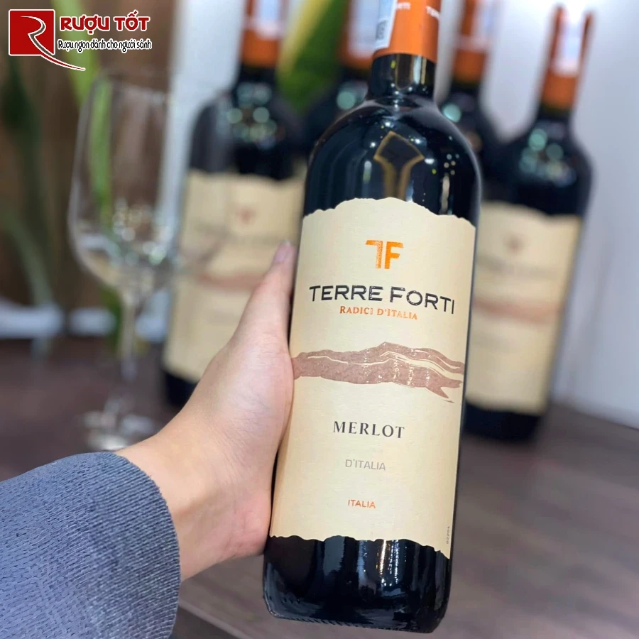 ruou terre forti merlot d'italia 12% 750ml nhap khau y