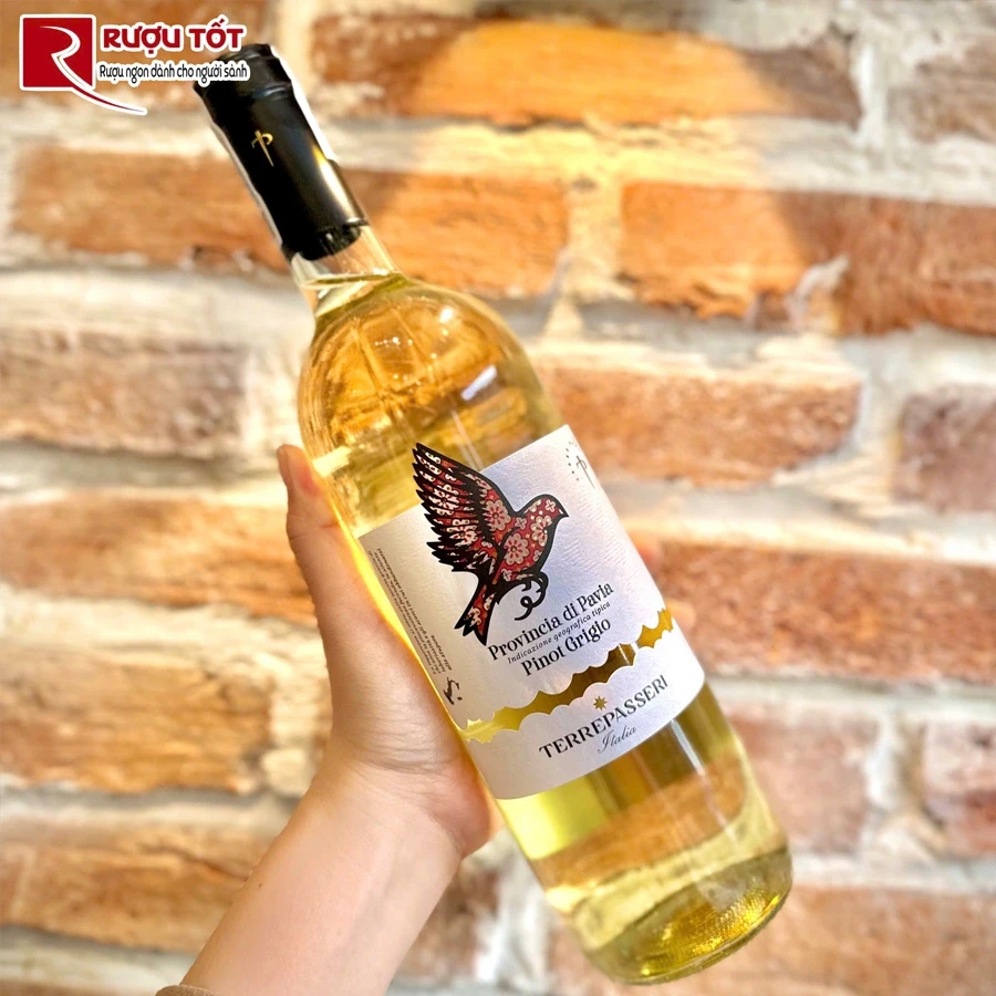 Rượu Terre Passeri Pinot Grigio