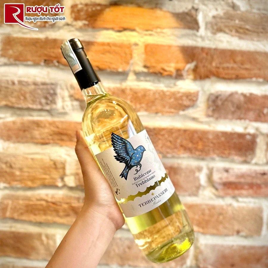 Rượu Terre Passeri Pinot Trebbianco