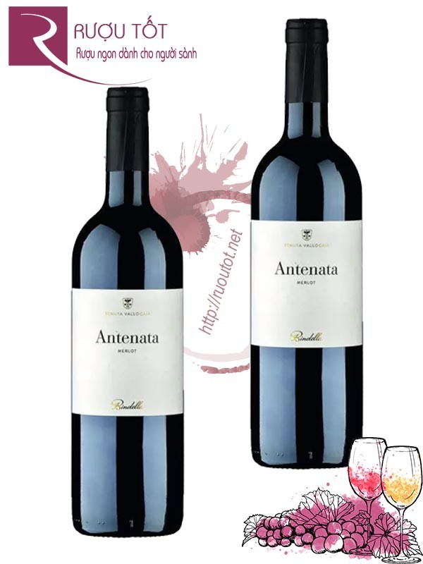 Rượu vang Antenata Toscana IGT Merlot