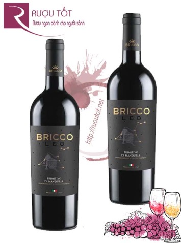 Rượu vang Bricco Leo Primitivo Puglia IGT 15 độ Chính hãng