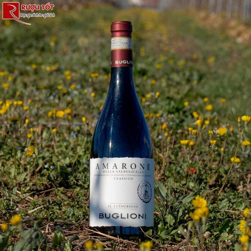 Rượu Vang Buglioni Amarone Il Lussurioso