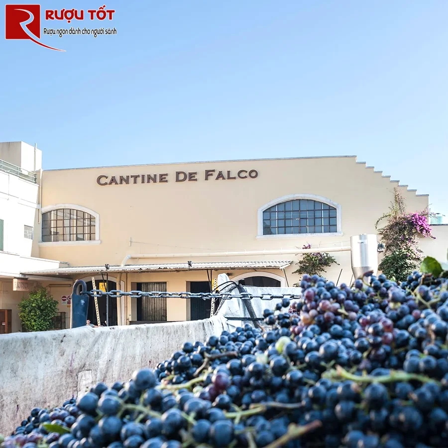 Rượu vang Cantine De Falco Primitivo Salento