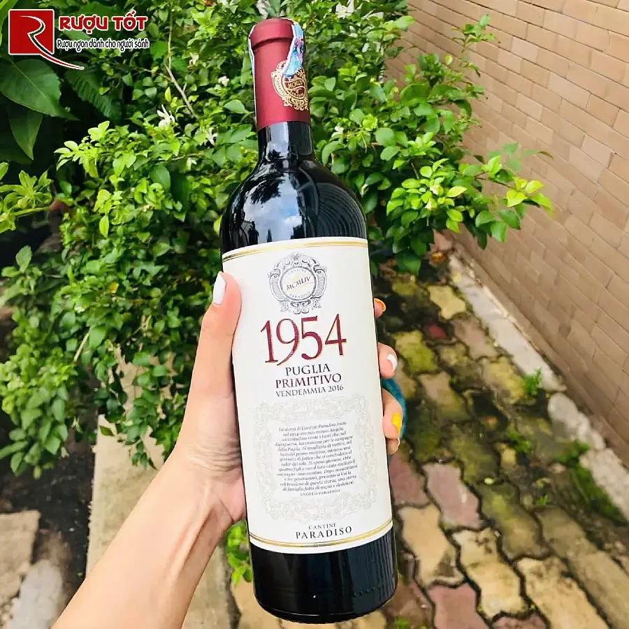 ruou vang cantine paradiso 1954 primitivo puglia