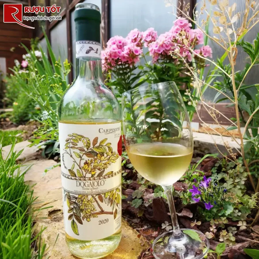 ruou vang carpineto dogajolo gia tot