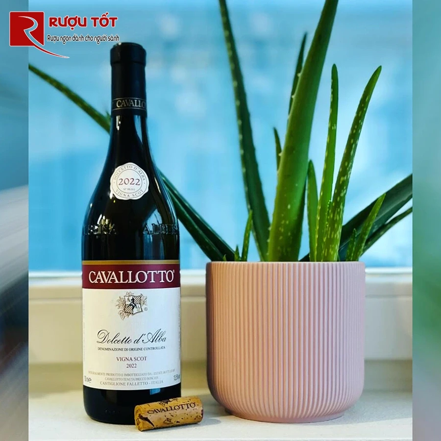 Rượu vang Cavallotto Dolcetto d'Alba Vigna Scot