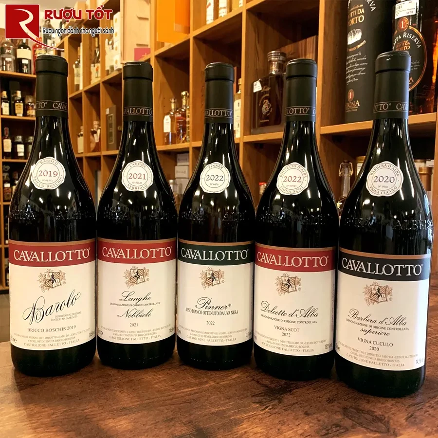 Rượu vang Cavallotto Nebbiolo Langhe