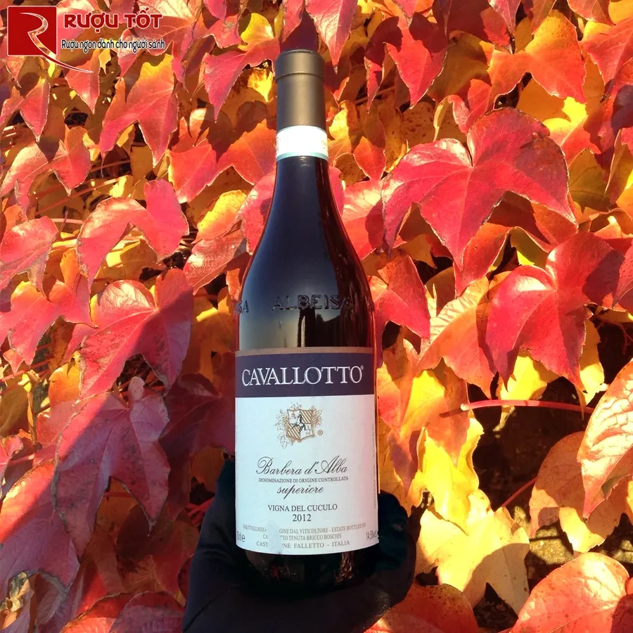 Rượu vang Cavallotto Vigna Cuculo Barbera