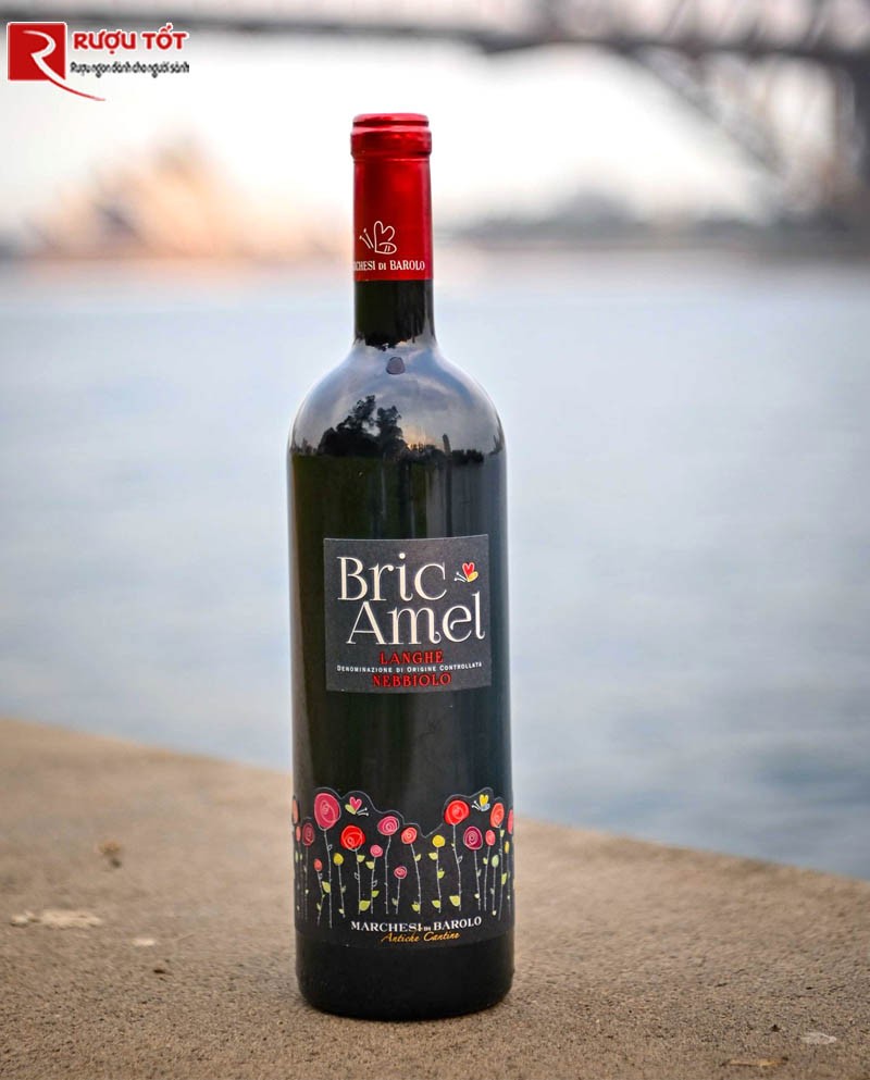Rượu vang đỏ Bric Amel