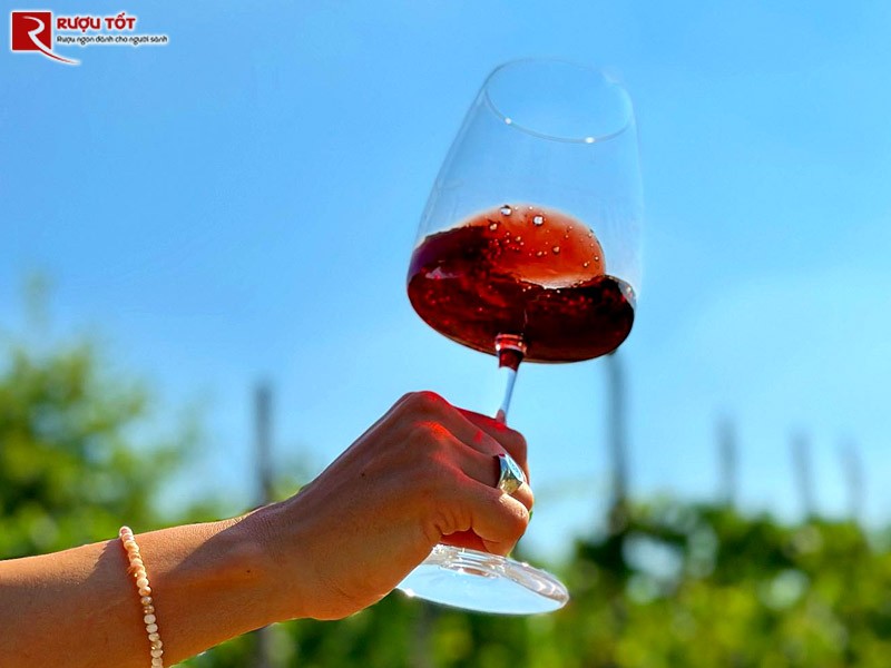 Rượu vang đỏ IL Segno