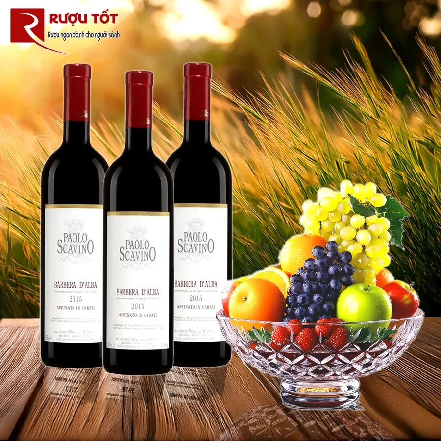 Rượu vang đỏ Paolo Scavino Affinato In Carati