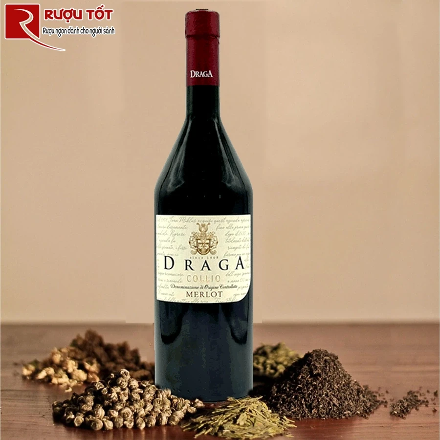 Rượu vang Draga Merlot Venezia Giulia