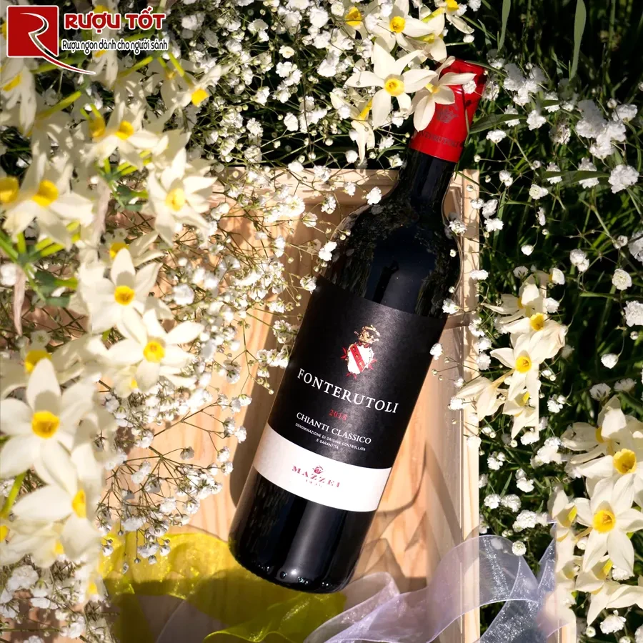 Rượu vang Fonterutoli Chianti Classico