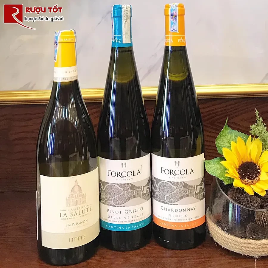 ruou vang forcola pinot grigio veneto