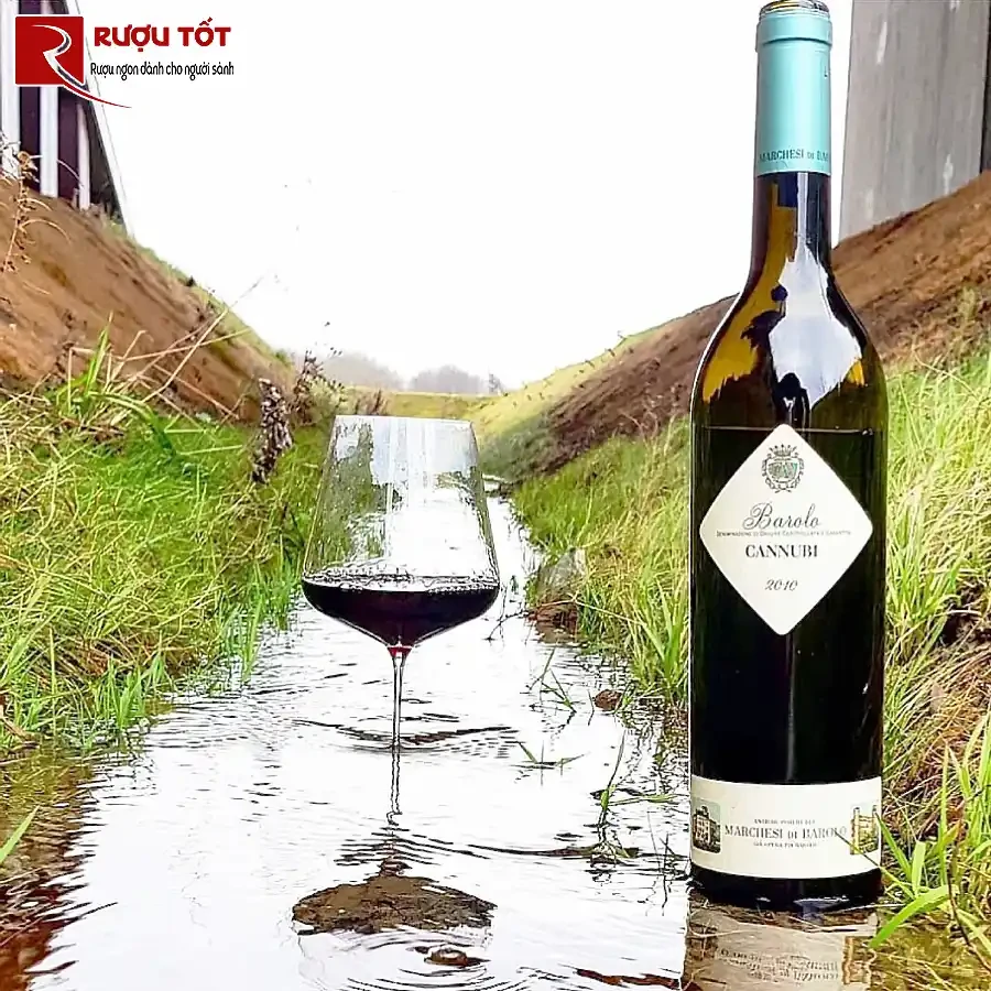 ruou vang marchesi di barolo barolo cannubi