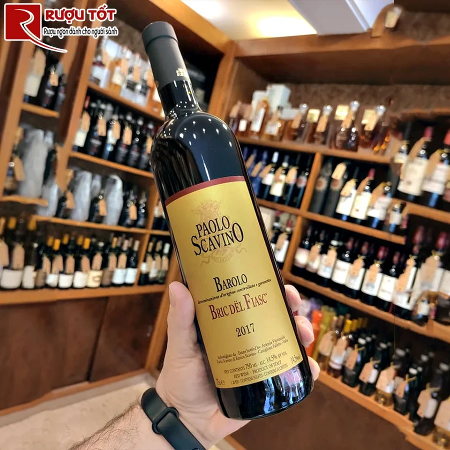 Rượu vang Paolo Scavino Bric del Fiasc