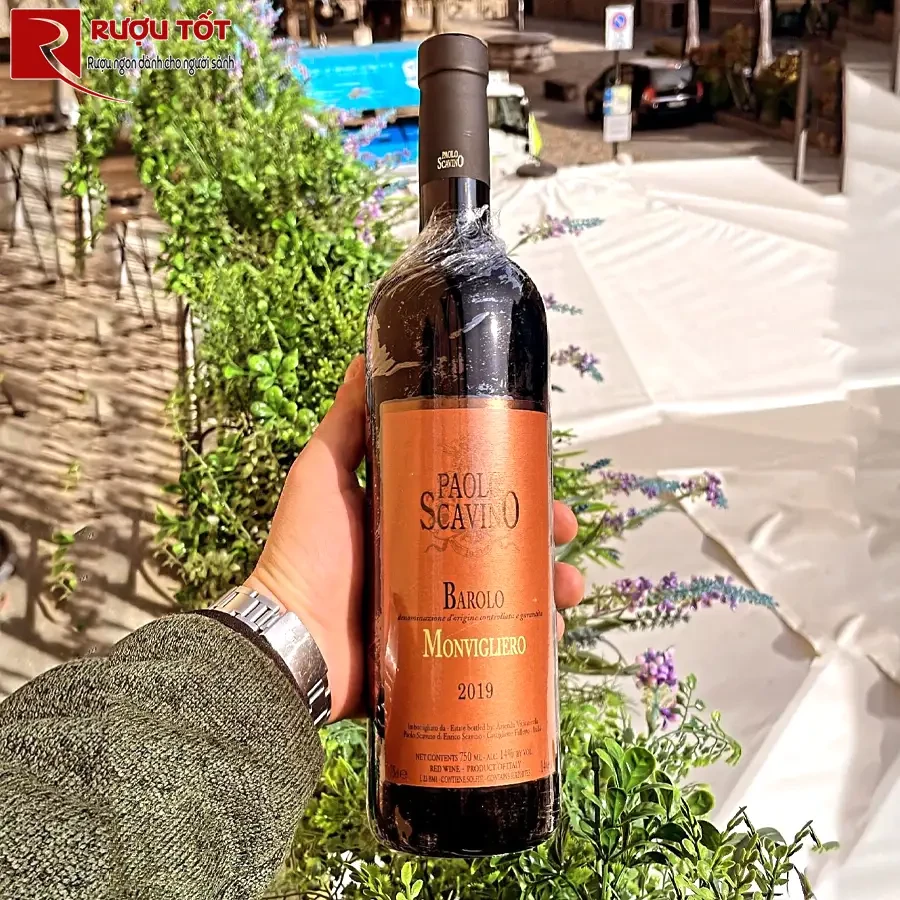 Rượu vang Paolo Scavino Monvigliero Barolo