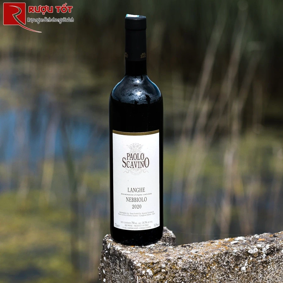 Rượu vang Paolo Scavino Nebbiolo Langhe