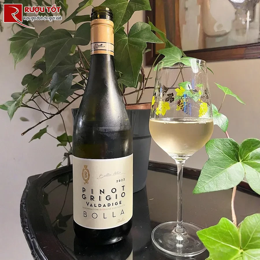 ruou vang pinot grigio bolla retro valdadige