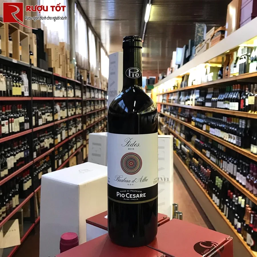 Rượu vang Pio Cesare Fides Barbera Dalba