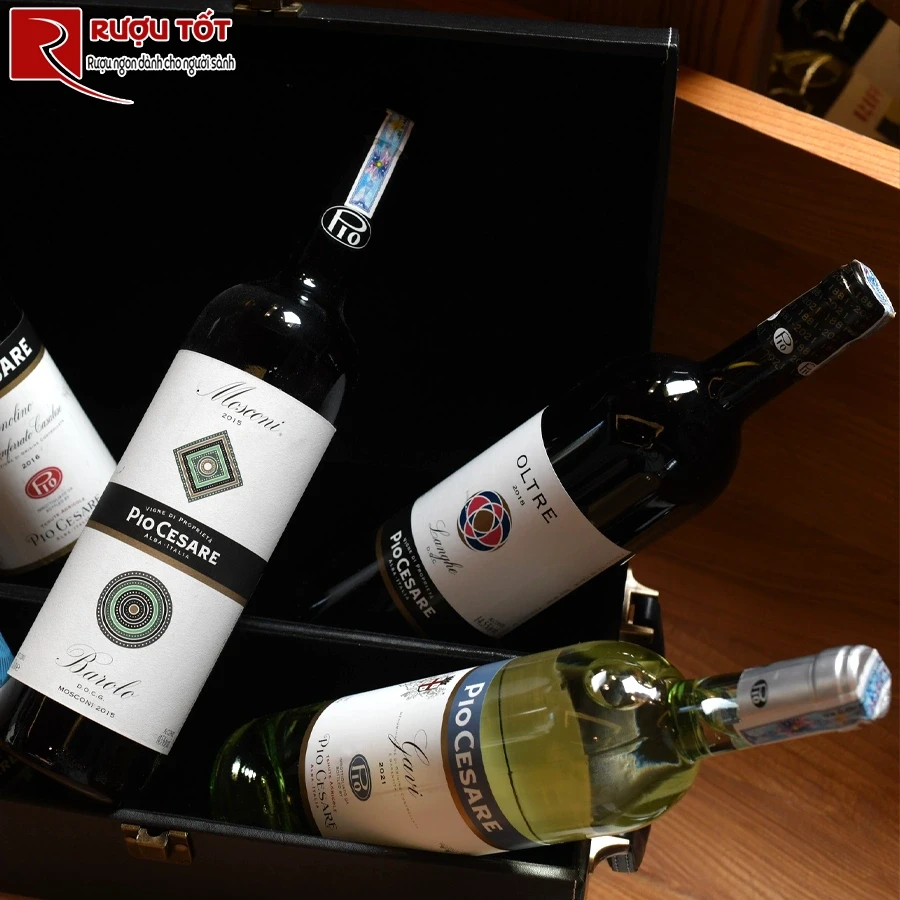 Rượu vang Pio Cesare Oltre Langhe