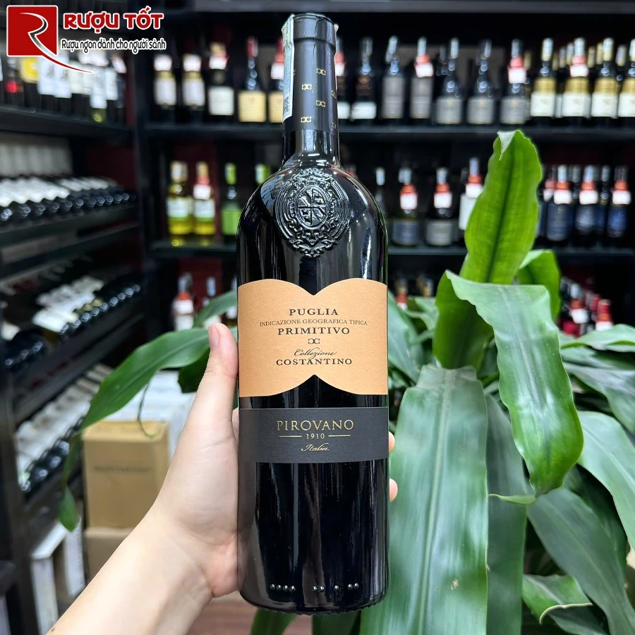Rượu vang Pirovano Collezione Costantino Primitivo