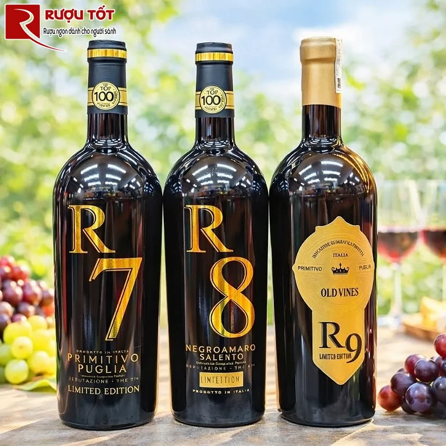 Rượu vang R8 Negroamaro Salento