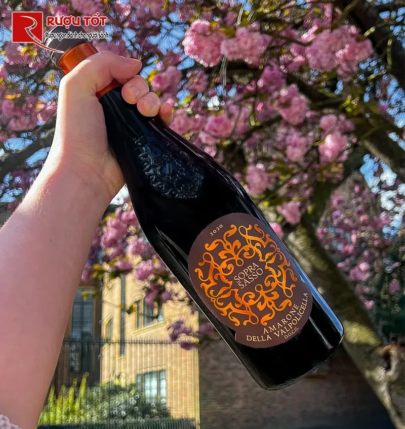 Ruou vang Soprasasso Amarone della Valpolicella