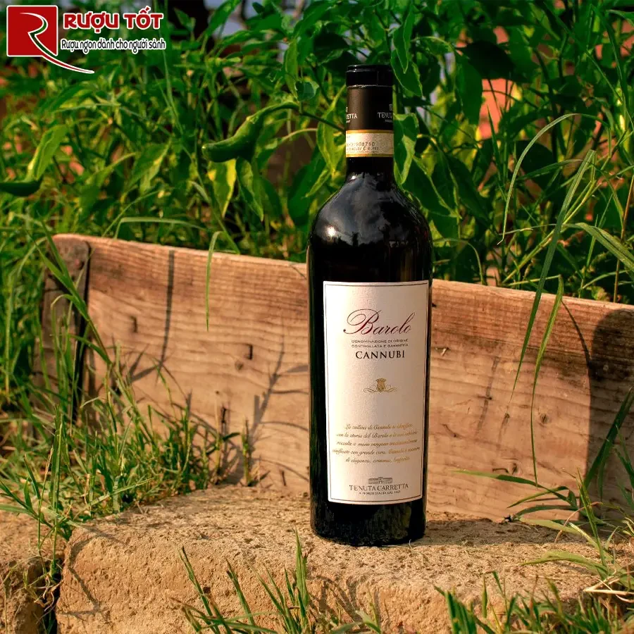 Rượu vang Tenuta Carretta Barolo Cannubi