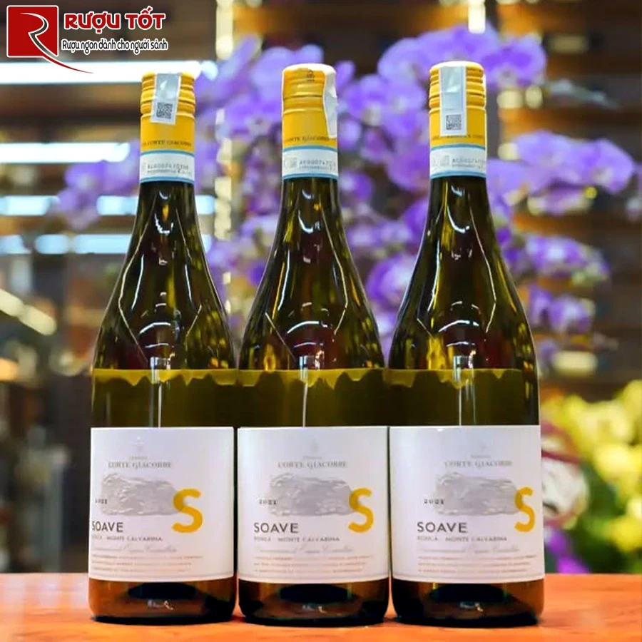 Rượu vang Tenuta Di Corte Giacobbe Soave