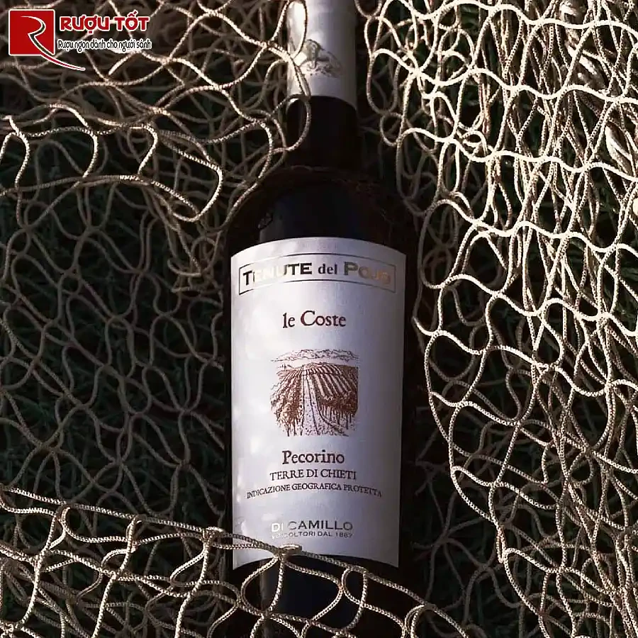 ruou vang tenute del pojo le coste pecorino