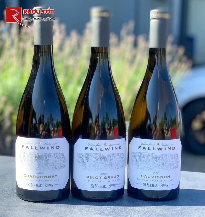 Rượu vang trắng Fallwind