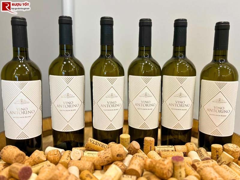 Rượu Vang Vino Antorino Sauvignon Blanc