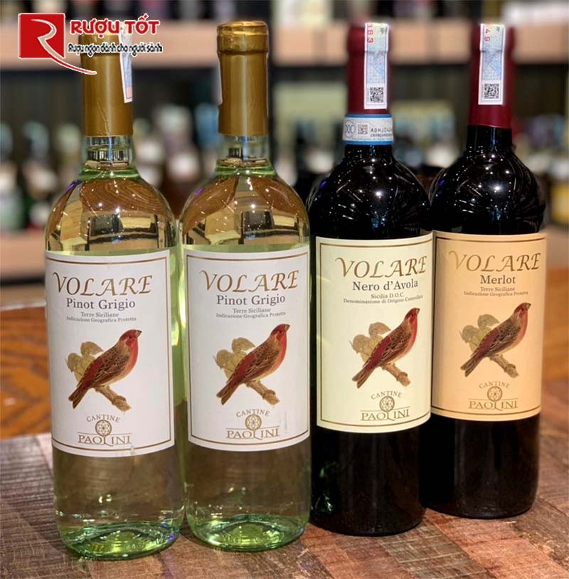 Rượu vang Volare