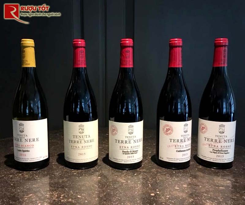 Rượu vang Ý Calderara Sottana