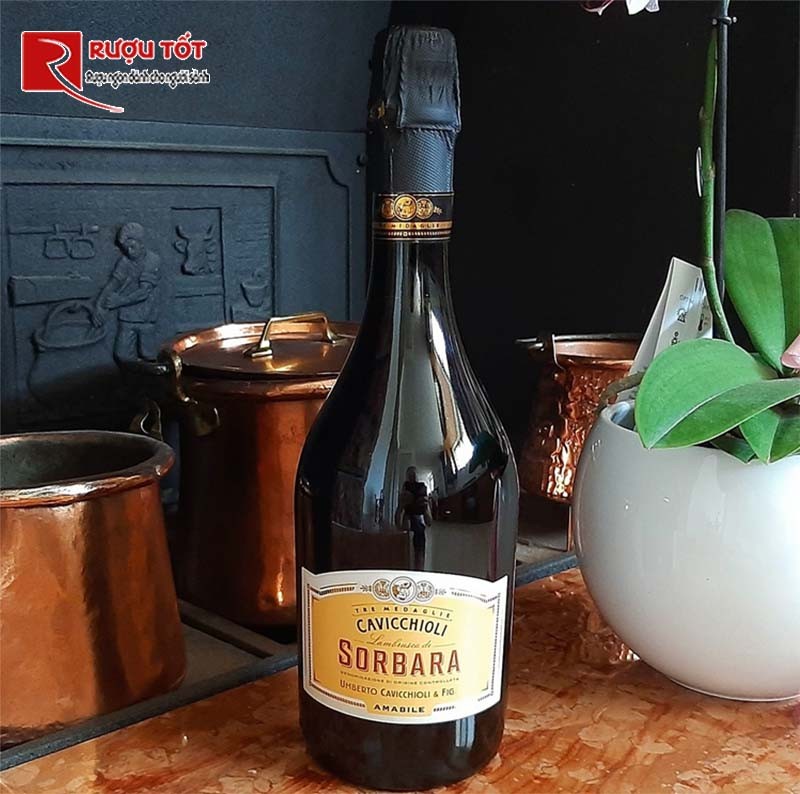 Rượu vang Ý Cavicchioli Lambrusco di Sorbara