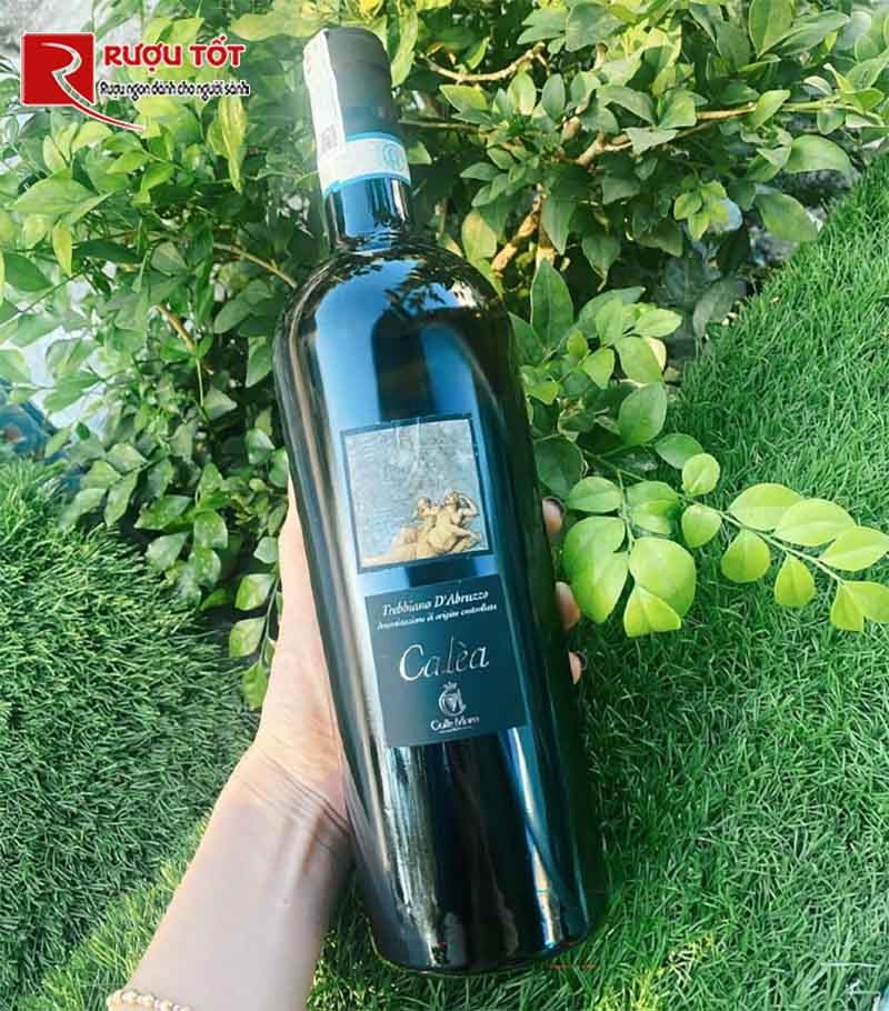Rượu vang Ý Colle Moro Calea