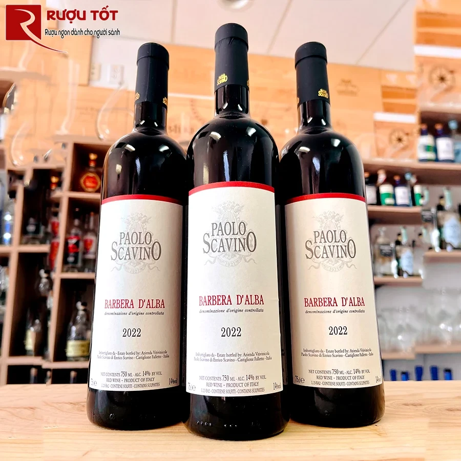 Rượu vang Ý Paolo Scavino Barbera d’Alba
