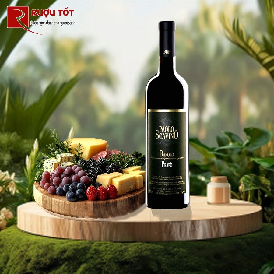 Rượu vang Ý Paolo Scavino Prapo Barolo