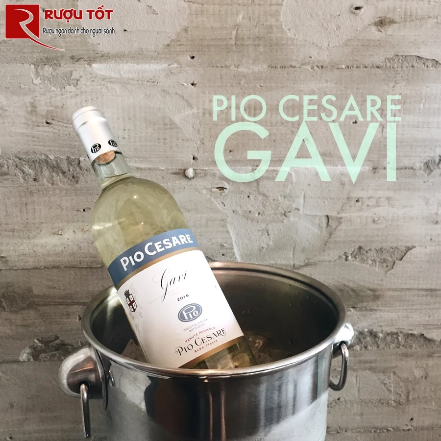 Rượu vang Ý Pio Cesare Gavi
