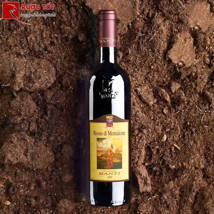 Rượu vang Ý Rosso Di Montalcino Castello Banfi