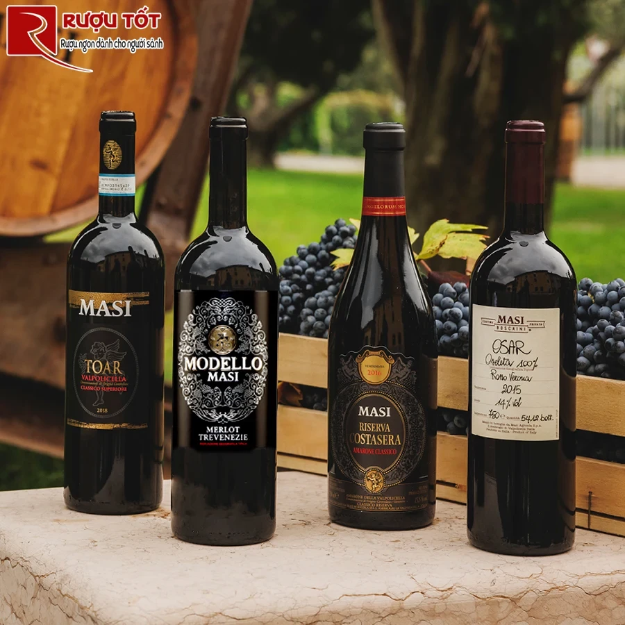 Rượu Ý Masi Modello Merlot